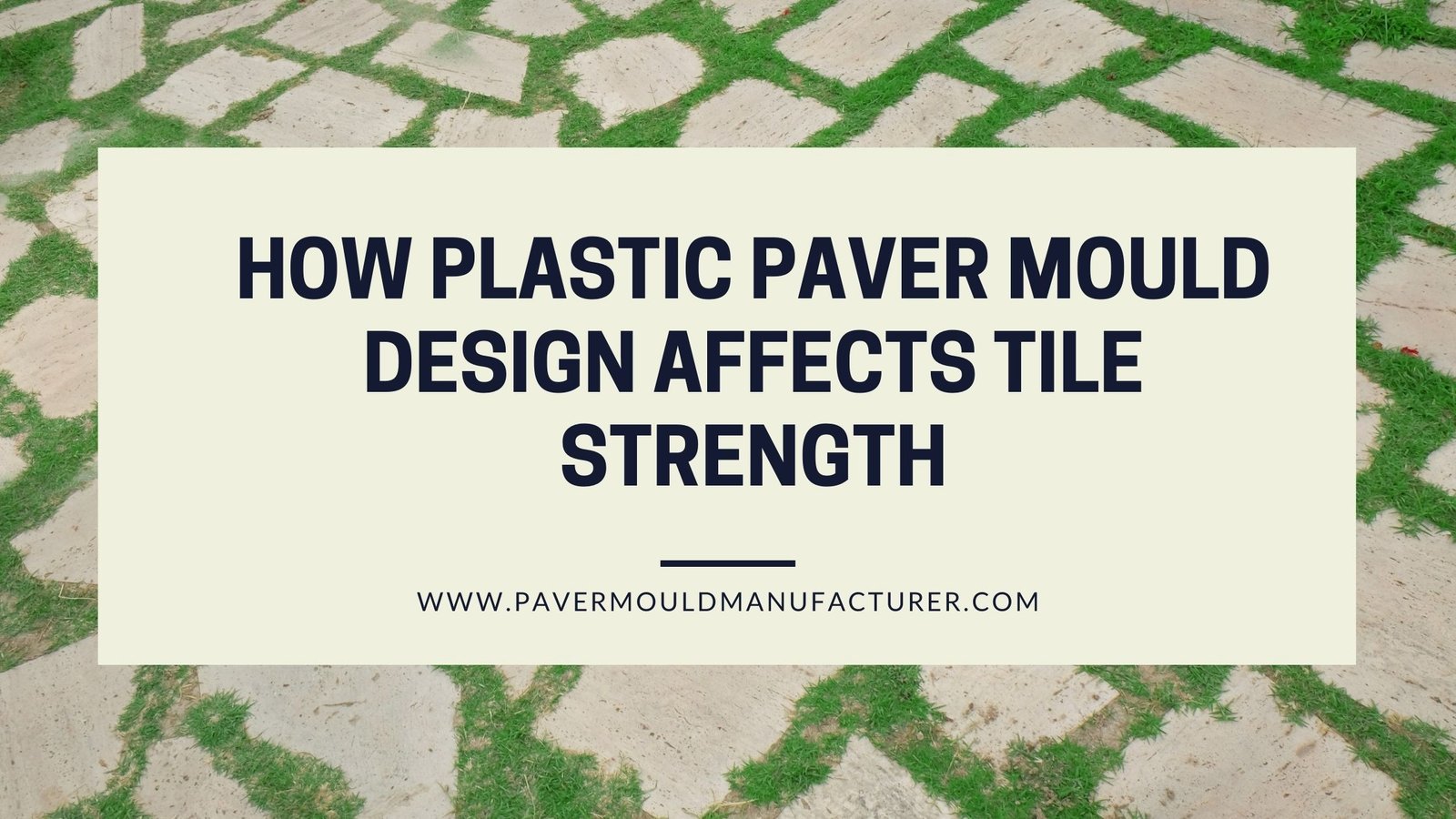 Plastic Paver Mould Manufacturer