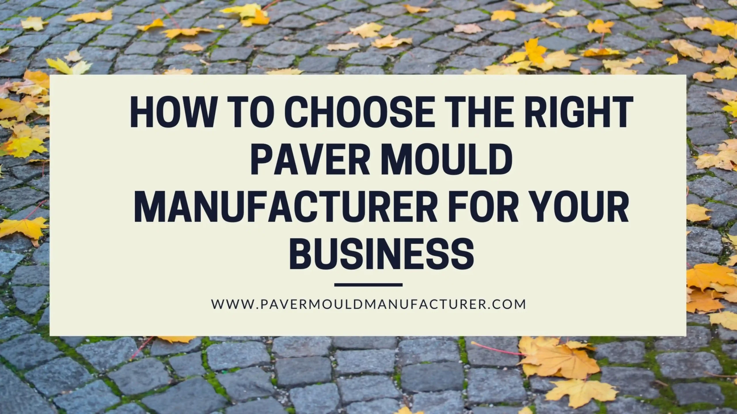 paver mould manufacturer