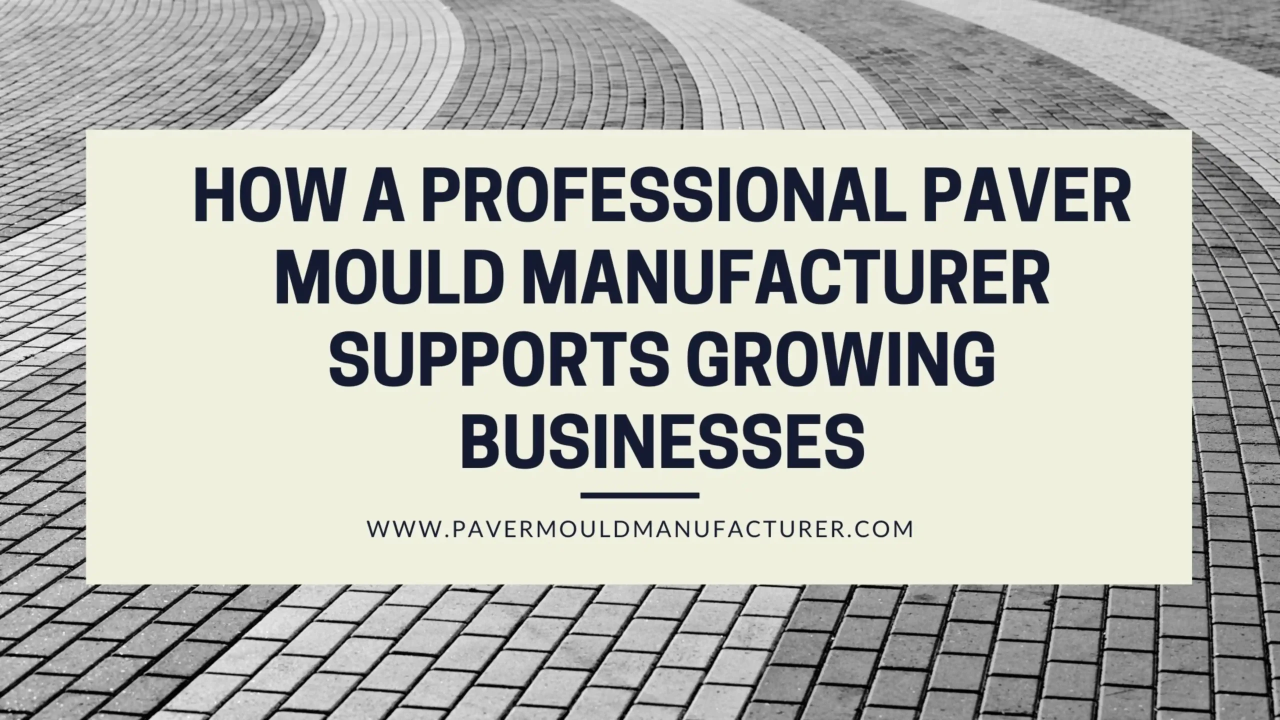 Paver Mould Manufacturer